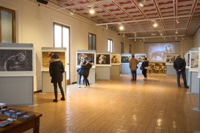 DSC03650 - dimensioni grandi